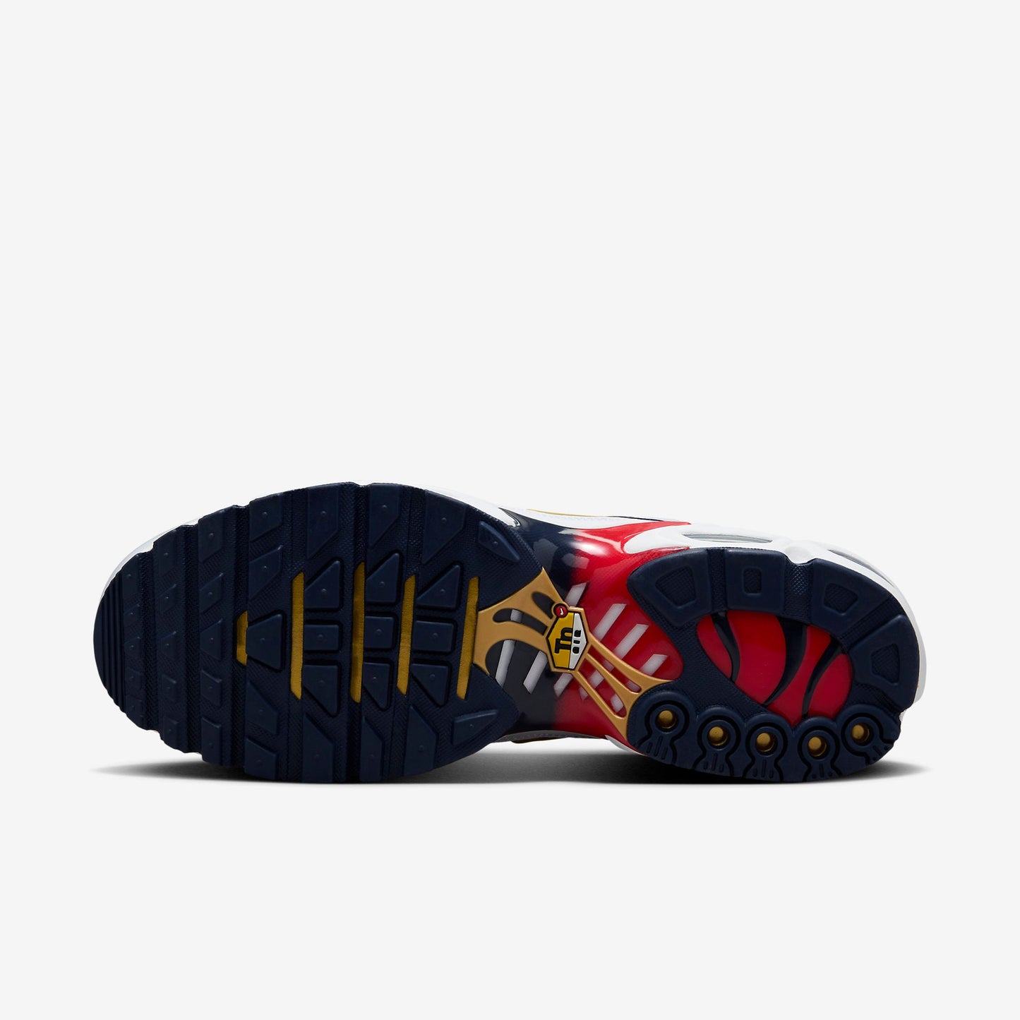 Air Max Plus TN PSG