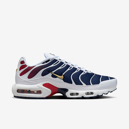 Air Max Plus TN PSG